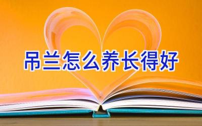 吊兰怎么养长得好插图