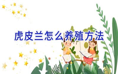 虎皮兰怎么养殖方法插图 虎皮兰怎么养殖方法插图