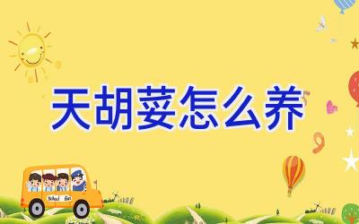 天胡荽怎么养插图 天胡荽怎么养插图