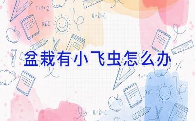 盆栽有小飞虫怎么办插图 盆栽有小飞虫怎么办插图