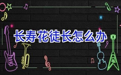 长寿花徒长怎么办插图