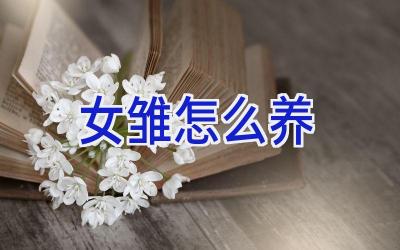 女雏怎么养插图