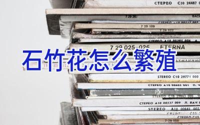 石竹花怎么繁殖插图