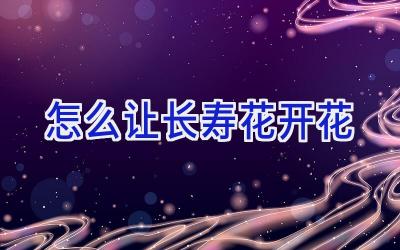 怎么让长寿花开花插图 怎么让长寿花开花插图