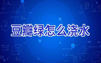 豆瓣绿怎么浇水插图 豆瓣绿怎么浇水插图