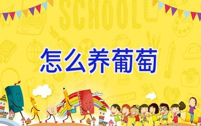 怎么养葡萄插图 怎么养葡萄插图