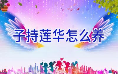 子持莲华怎么养插图 子持莲华怎么养插图