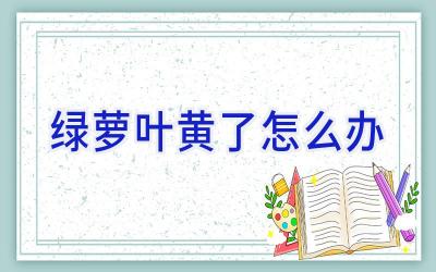 绿萝叶黄了怎么办插图 绿萝叶黄了怎么办插图