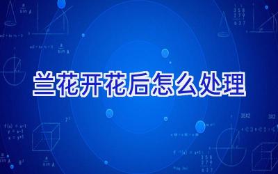 兰花开花后怎么处理插图