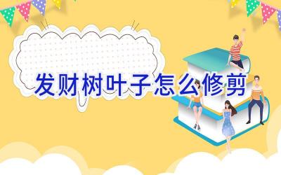 发财树叶子怎么修剪插图 发财树叶子怎么修剪插图