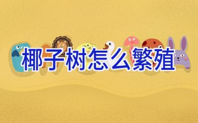 椰子树怎么繁殖插图 椰子树怎么繁殖插图