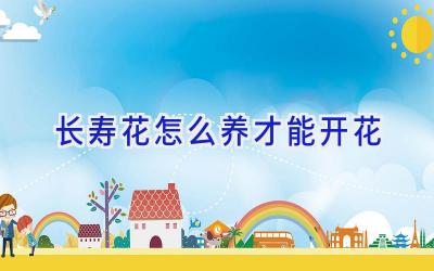 长寿花怎么养才能开花插图
