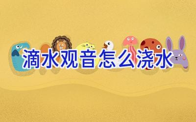 滴水观音怎么浇水插图 滴水观音怎么浇水插图