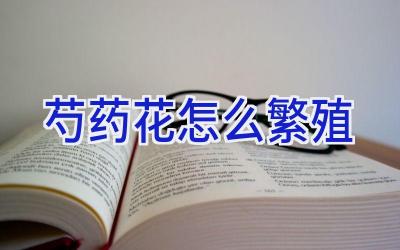 芍药花怎么繁殖插图 芍药花怎么繁殖插图