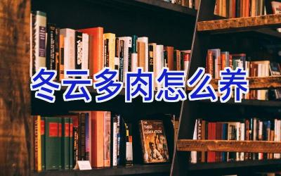 冬云多肉怎么养插图