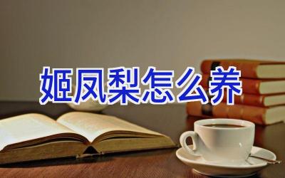 姬凤梨怎么养插图 姬凤梨怎么养插图