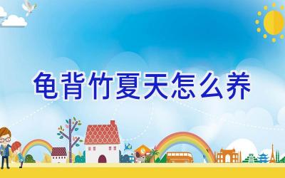 龟背竹夏天怎么养插图 龟背竹夏天怎么养插图