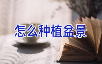 怎么种植盆景插图 怎么种植盆景插图