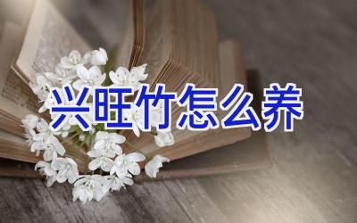 兴旺竹怎么养插图 兴旺竹怎么养插图