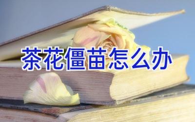 茶花僵苗怎么办插图