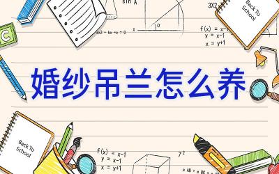 婚纱吊兰怎么养插图 婚纱吊兰怎么养插图