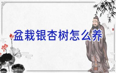 盆栽银杏树怎么养插图