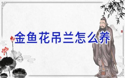 金鱼花吊兰怎么养插图 金鱼花吊兰怎么养插图