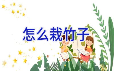 怎么栽竹子插图 怎么栽竹子插图