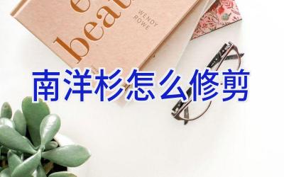 南洋杉怎么修剪插图