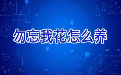 勿忘我花怎么养插图 勿忘我花怎么养插图