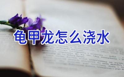 龟甲龙怎么浇水插图 龟甲龙怎么浇水插图