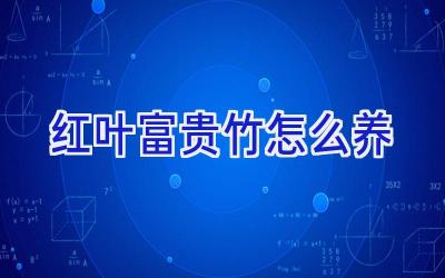 红叶富贵竹怎么养插图