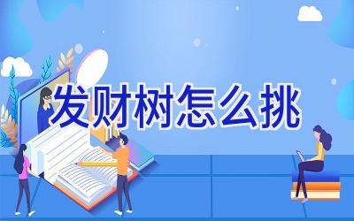 发财树怎么挑插图