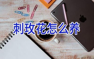 刺玫花怎么养插图 刺玫花怎么养插图