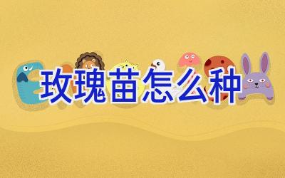 玫瑰苗怎么种插图 玫瑰苗怎么种插图