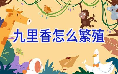 九里香怎么繁殖插图