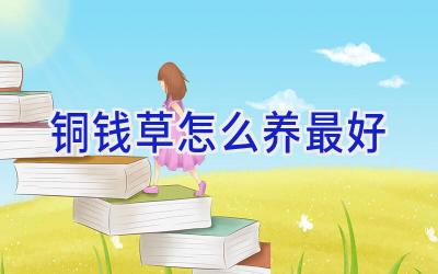 铜钱草怎么养最好插图 铜钱草怎么养最好插图