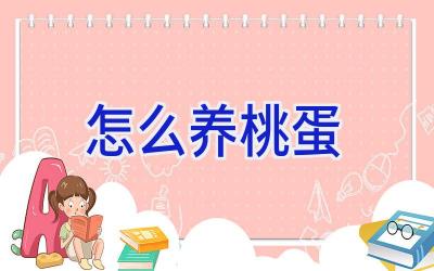 怎么养桃蛋插图