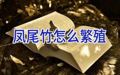 凤尾竹怎么繁殖插图 凤尾竹怎么繁殖插图