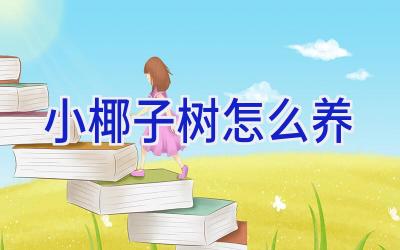 小椰子树怎么养插图 小椰子树怎么养插图