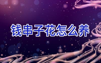 钱串子花怎么养插图