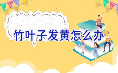 竹叶子发黄怎么办插图