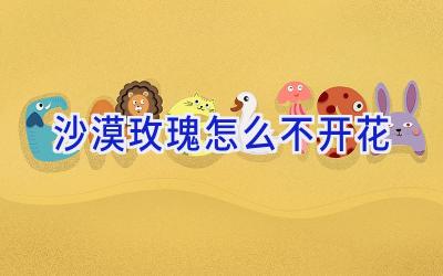 沙漠玫瑰怎么不开花插图 沙漠玫瑰怎么不开花插图