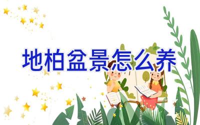 地柏盆景怎么养插图 地柏盆景怎么养插图