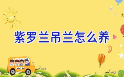 紫罗兰吊兰怎么养插图 紫罗兰吊兰怎么养插图