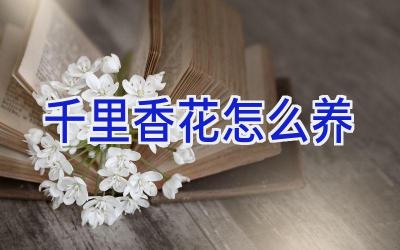 千里香花怎么养插图 千里香花怎么养插图