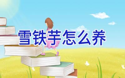 雪铁芋怎么养插图 雪铁芋怎么养插图