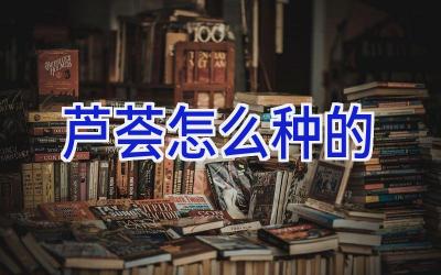 芦荟怎么种的插图 芦荟怎么种的插图