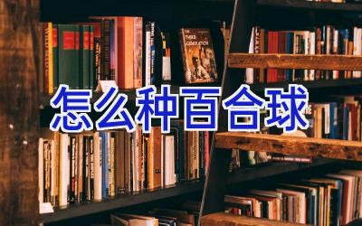 怎么种百合球插图 怎么种百合球插图