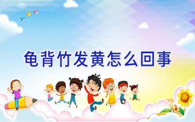 龟背竹发黄怎么回事插图